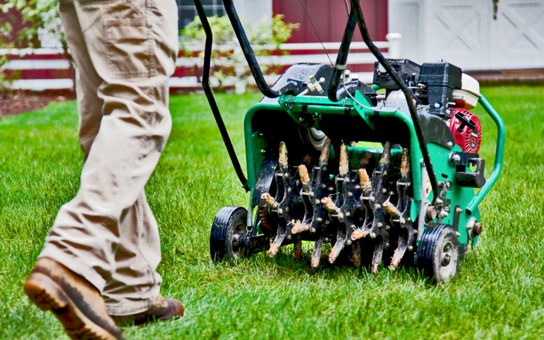 Benefits of Lawn Aeration